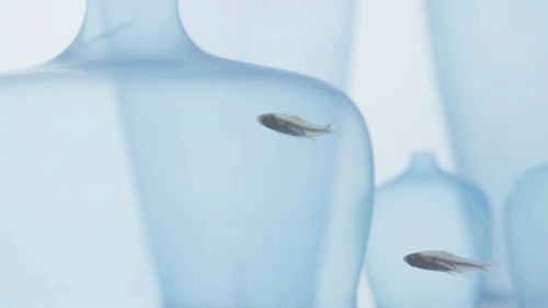23.gif